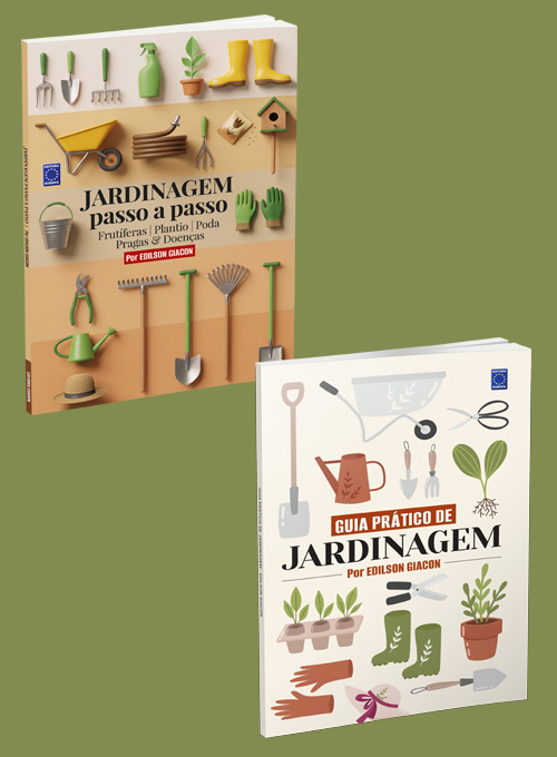 Super Kit Jardinagem Passo a Passo - Edilson Giacon