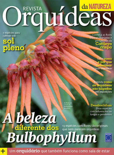 Revista Orquídeas da Natureza - Revista Digital - Edição 4