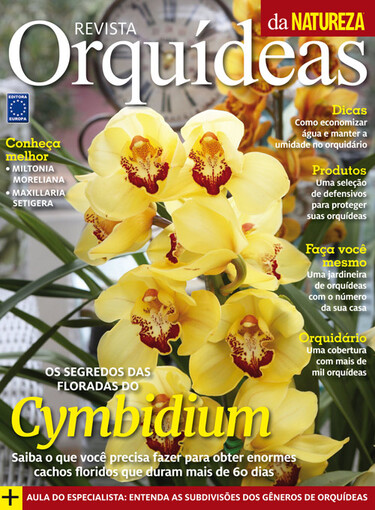 Revista Orquídeas da Natureza - Revista Digital - Edição 11