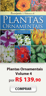 Plantas Ornamentais Volume 4.