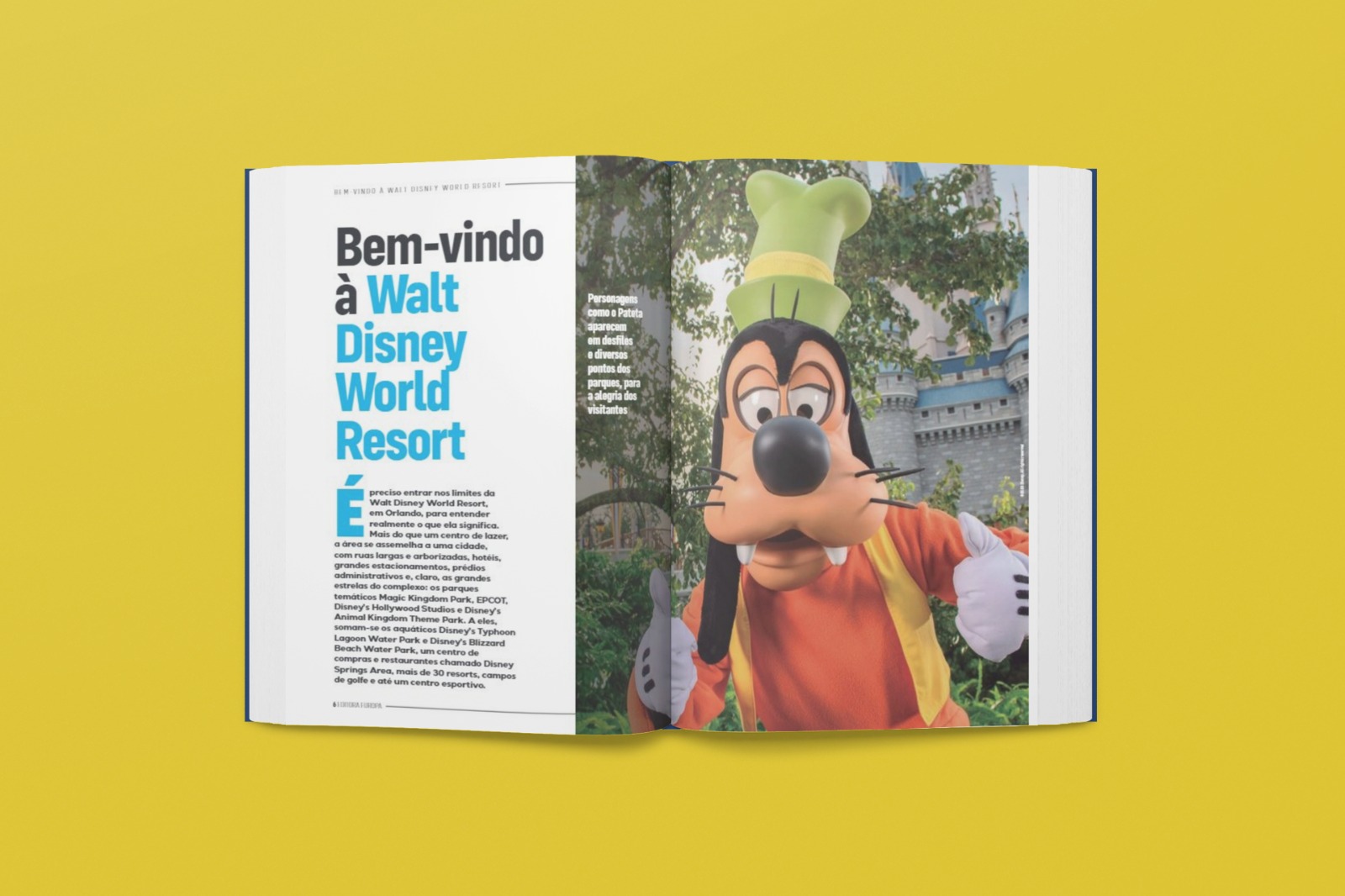 Guia Walt Disney World Resort